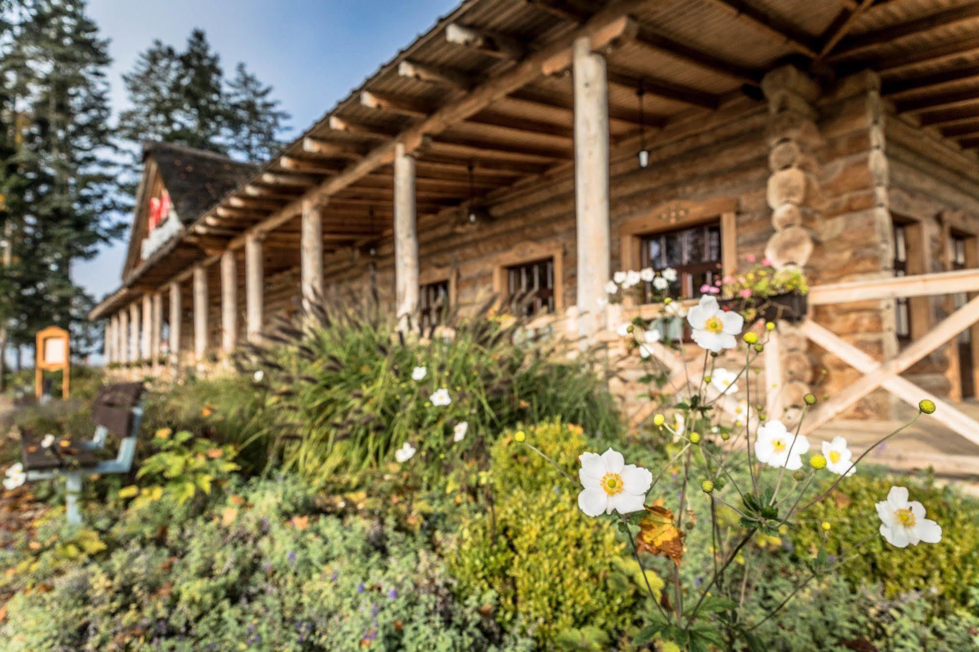 Hotel Picaro Stok Лагув Екстер'єр фото